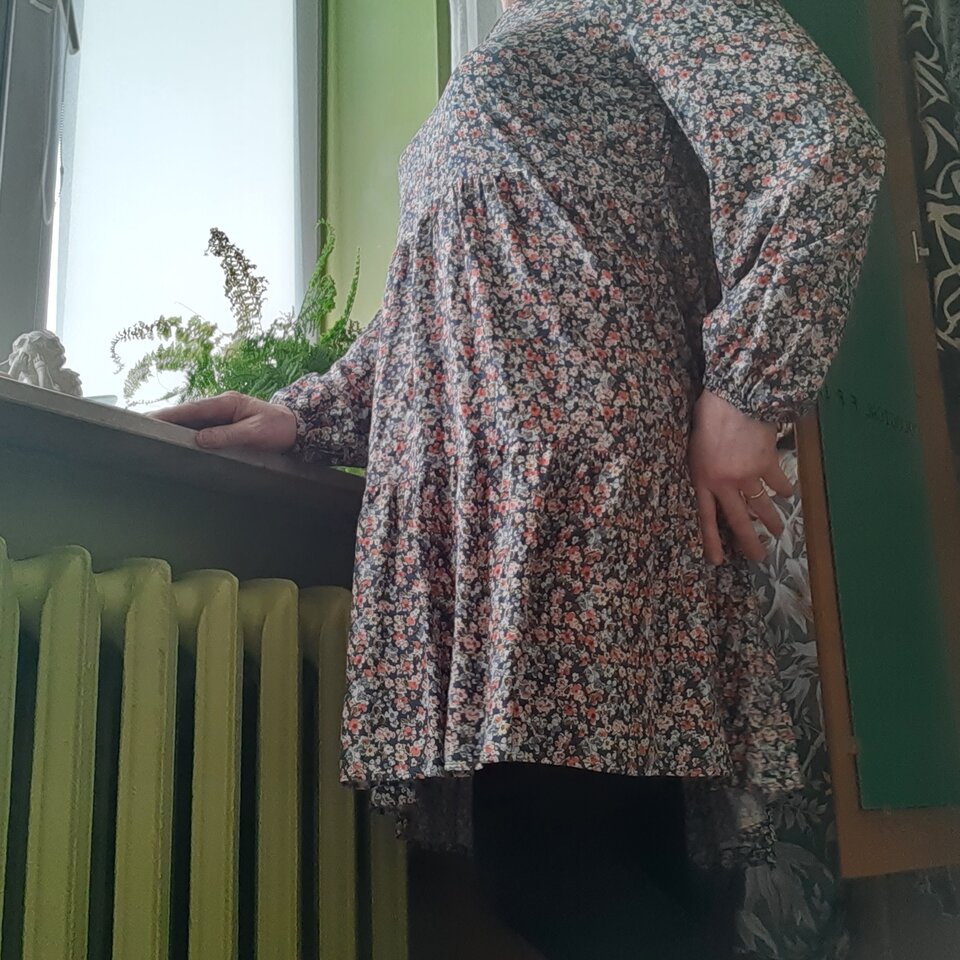 16497427738856059627663474288784.jpg - Palciusia