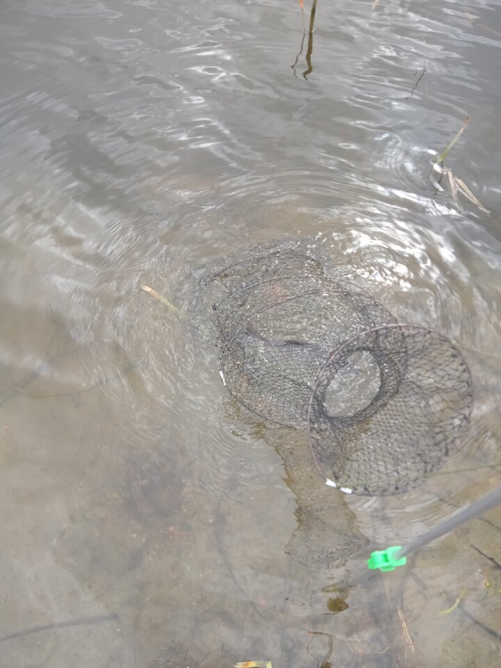 IMG_20220411_132844_551.jpg - rafi07