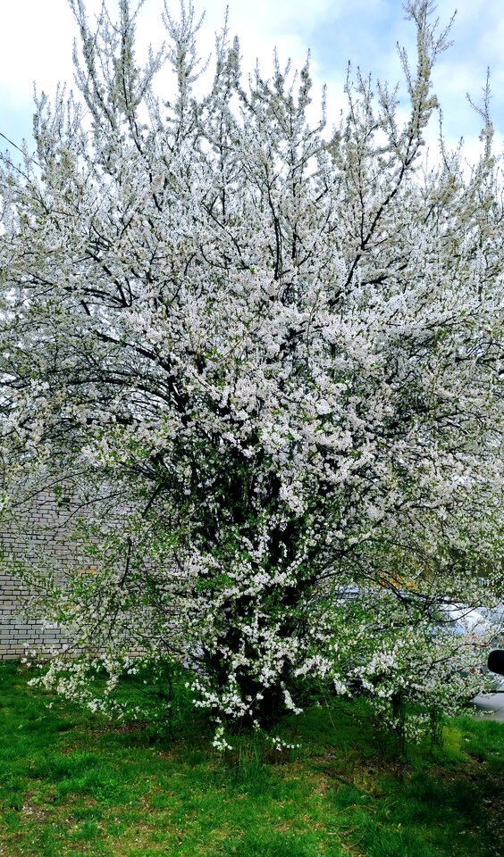 IMG_20220413_235333.jpg - Nicci