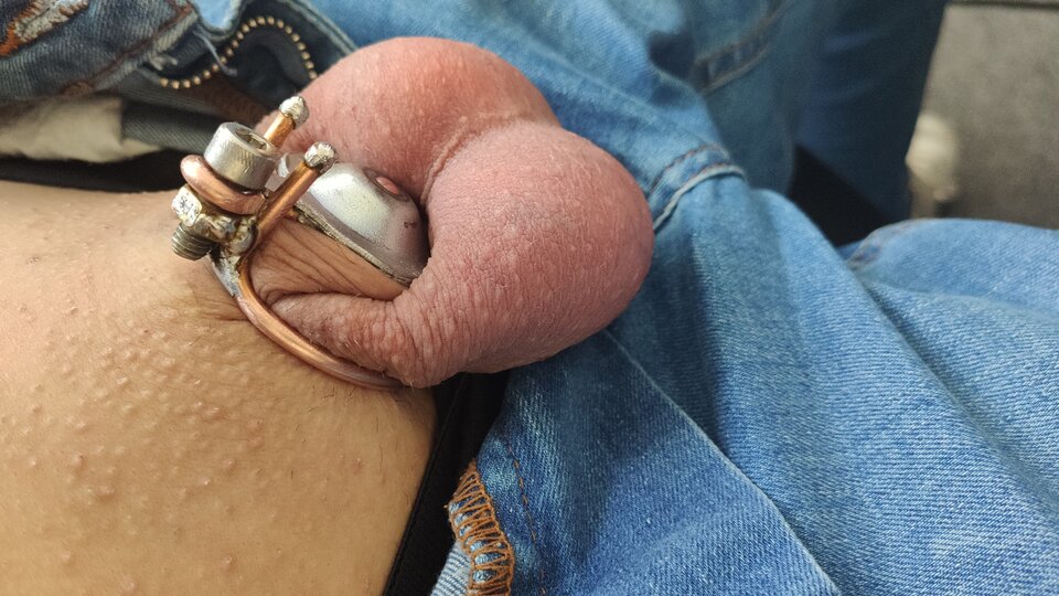 IMG_20220414_064933.jpg - pspiter