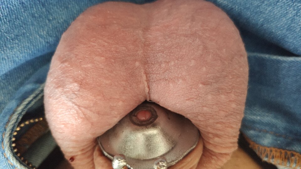 IMG_20220414_064958.jpg - pspiter