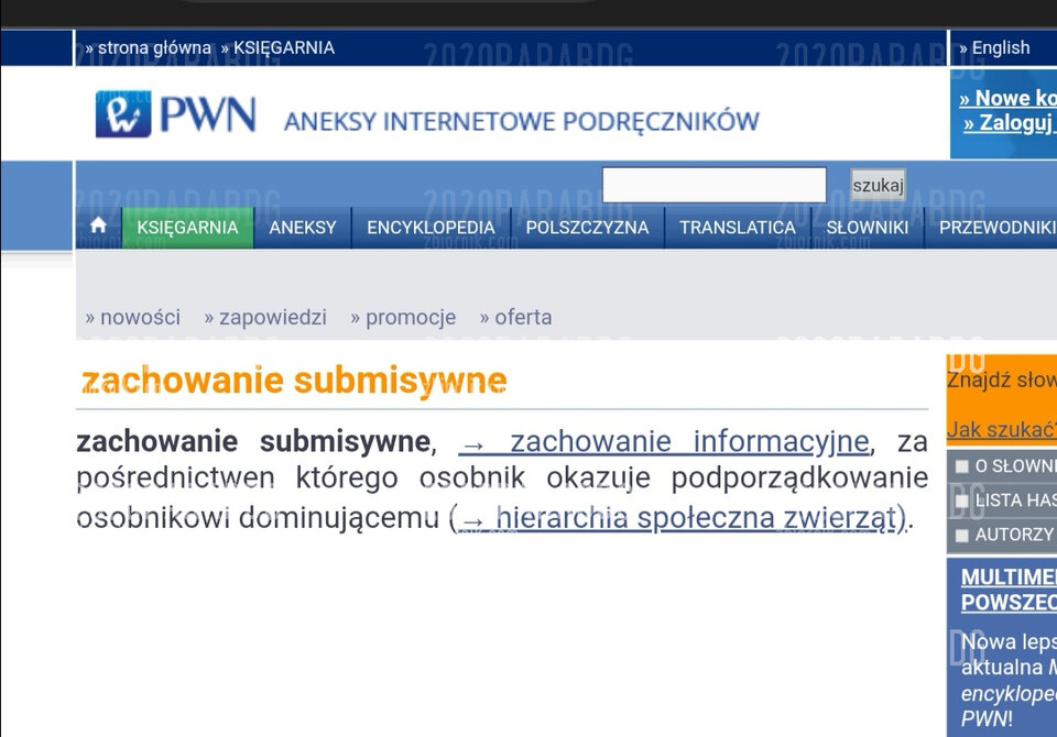 Screenshot_20220414_133533.jpg - 2020ParaBDG