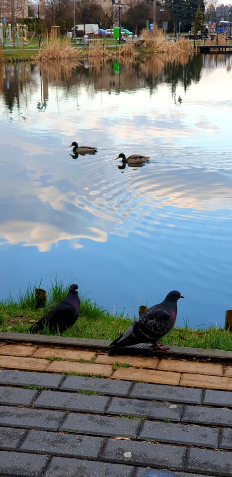 20220411_182705.jpg - Sh_e