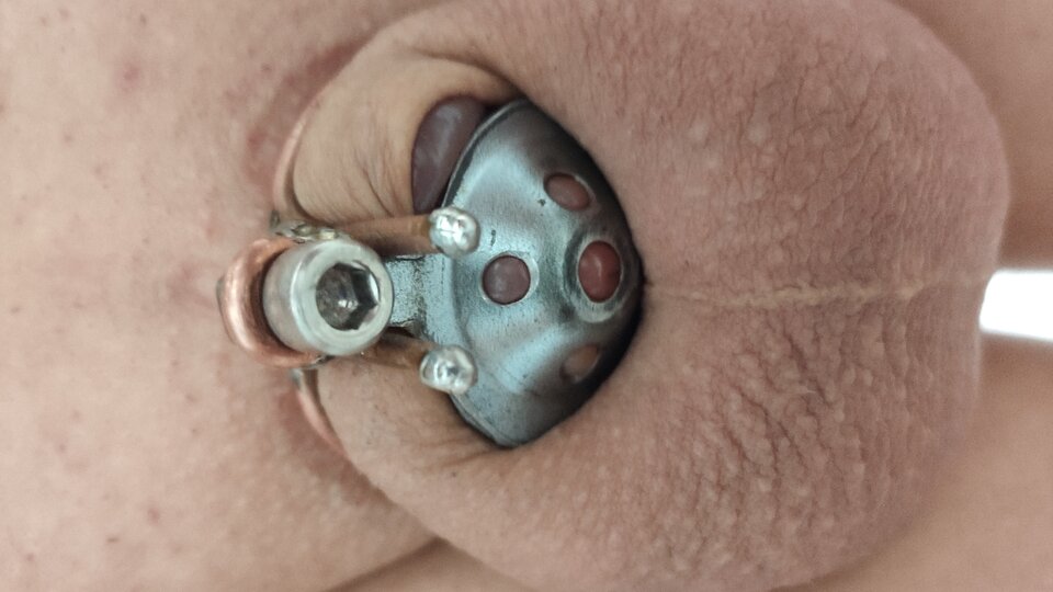 IMG_20220415_103953.jpg - pspiter