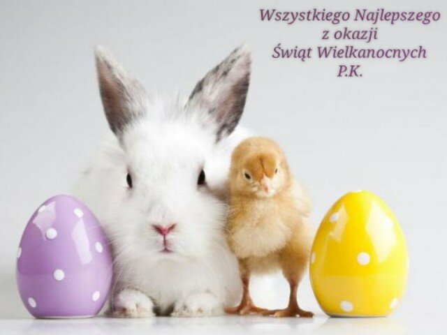 040xx~01.jpg - IrPKIr