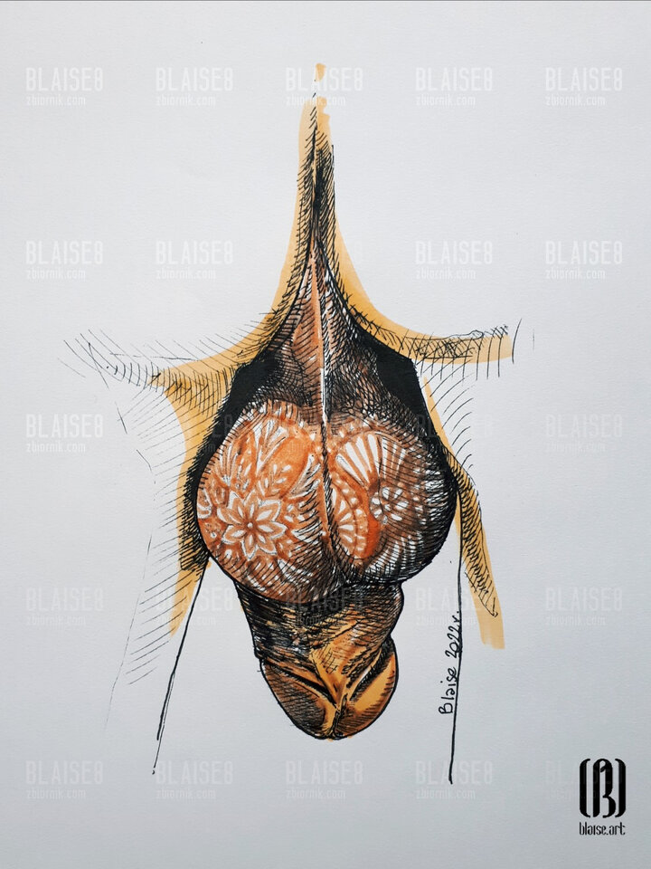 Art. No. 176 - blaise8