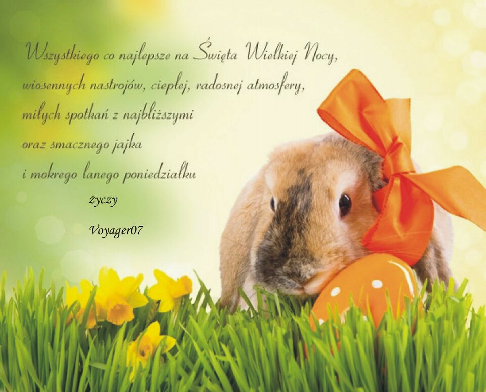 życzenia.JPG - Voyager07