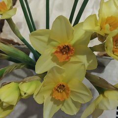 IMG_20220415_215501.jpg