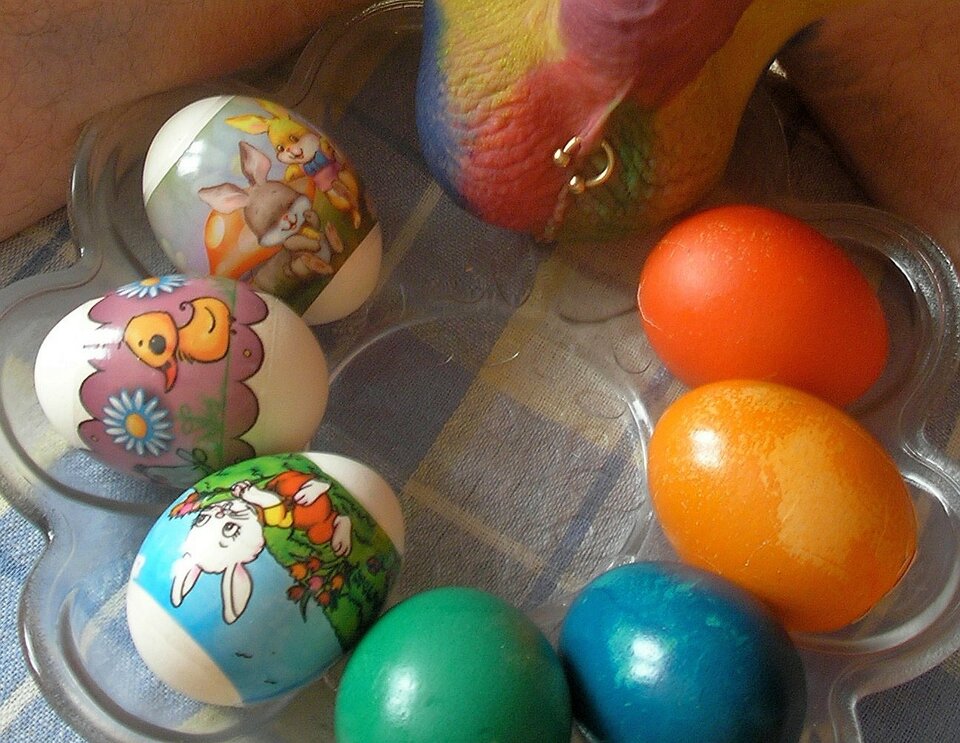 Świąteczne zabawy z jajkami - aga124