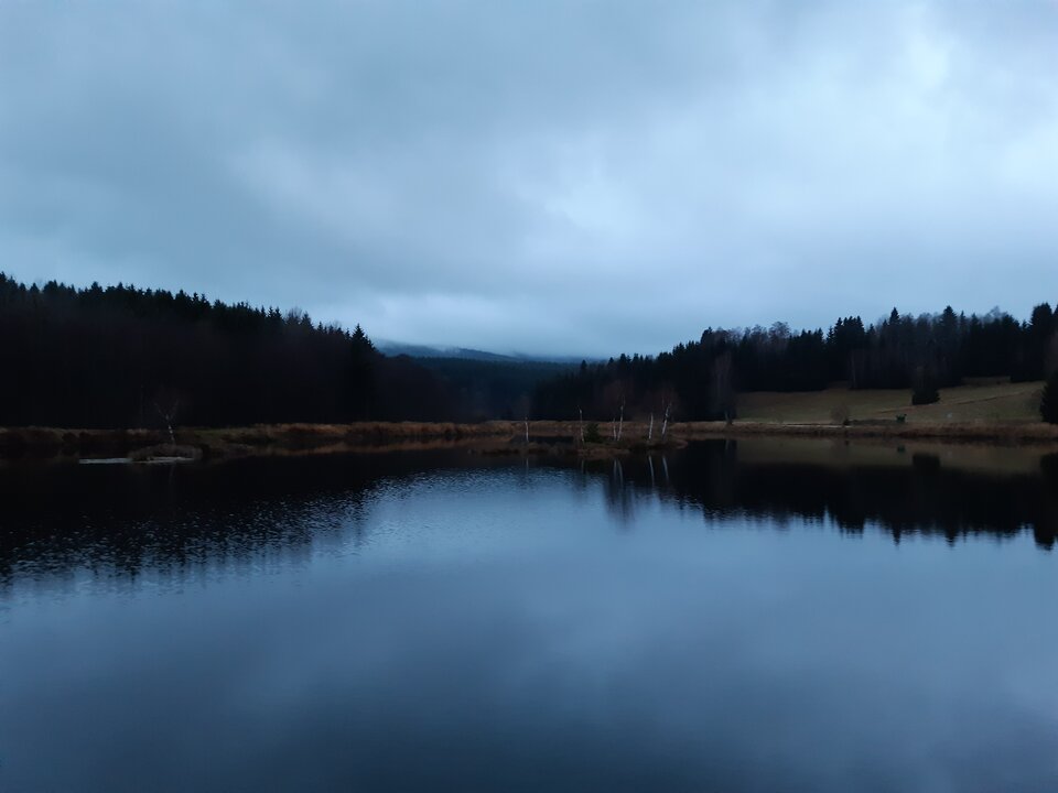 20211122_160943.jpg - torii99