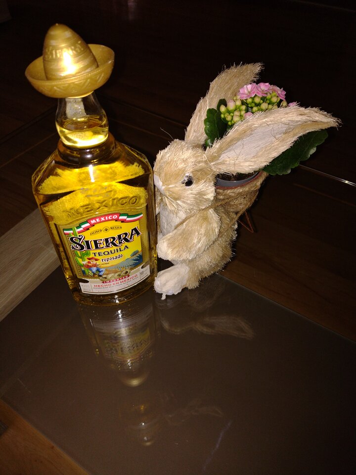 Zajączek.jpg - TomoiMery