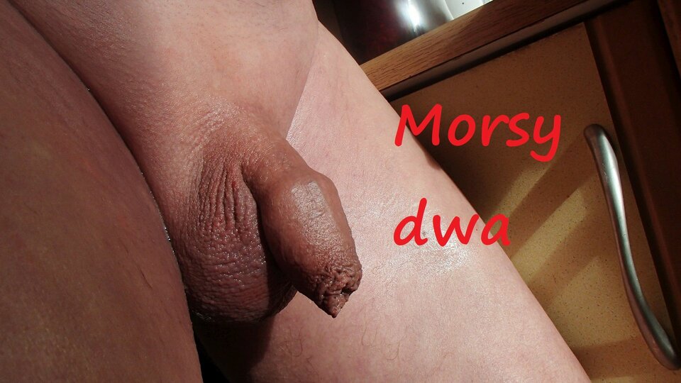 Zbiornik 1671 - Morsy_dwa