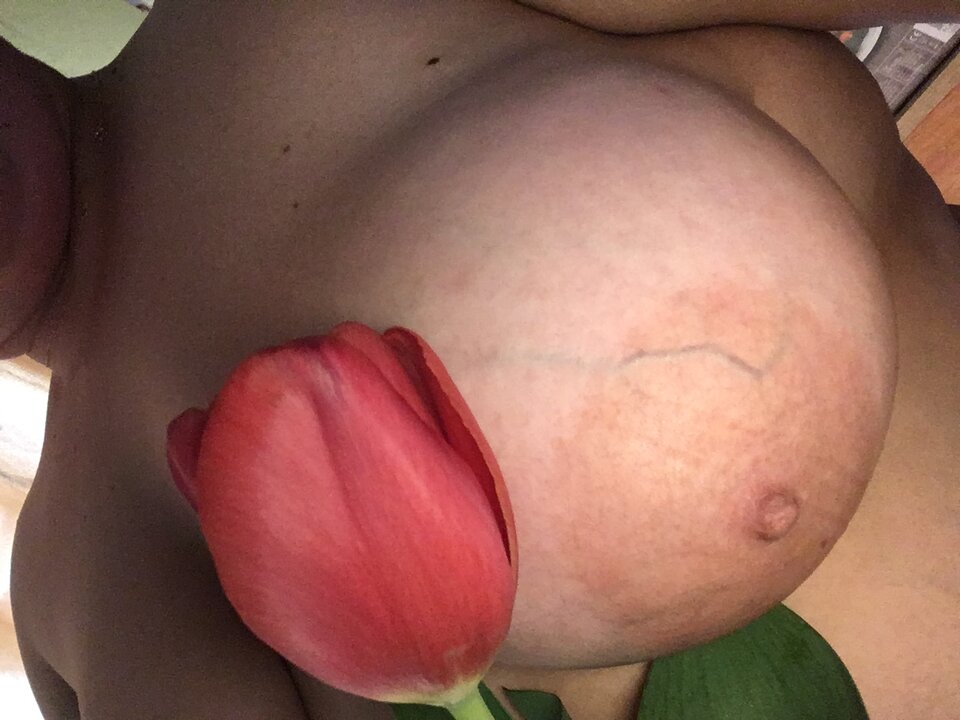 623CDE18-9C9C-4890-9F91-FB4E5FC9E74C.jpeg - hodorkowie2