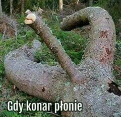 może zapłanie ale zapałek brak 