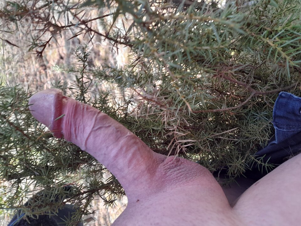 20220417_105217.jpg - hej34