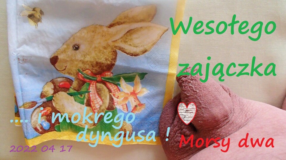 Zbiornik 1673 - Morsy_dwa