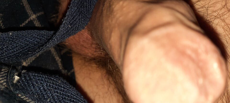 16502551874177303011353292451986.jpg - Adjala