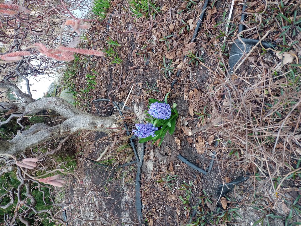 20220403_154331.jpg - Normalna2704
