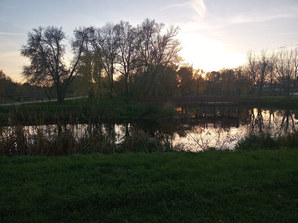 20211024_170529_HDR.jpg - Normalna2704