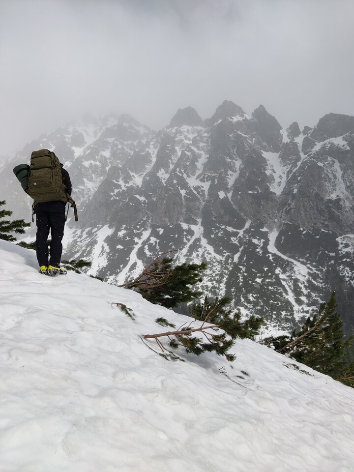 IMG_20220417_095246 2.jpg - BoskiApollo1989