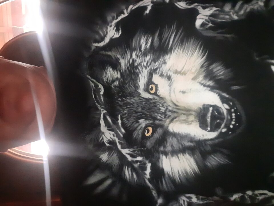 20220418_173900.jpg - Glodnisexu1