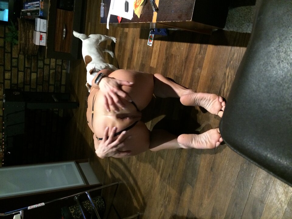 E1DE9DEE-84B6-4867-9B32-969B8A4CF346.jpeg - kurwiszoniPan