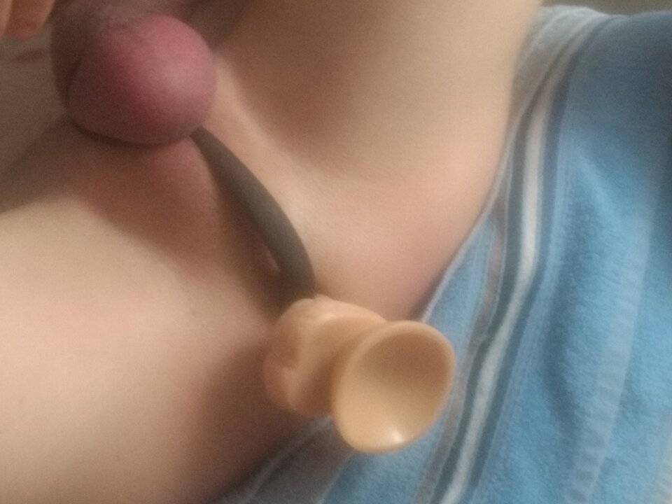 IMG_20220406_194632082_HDR.jpg - mareczek9090