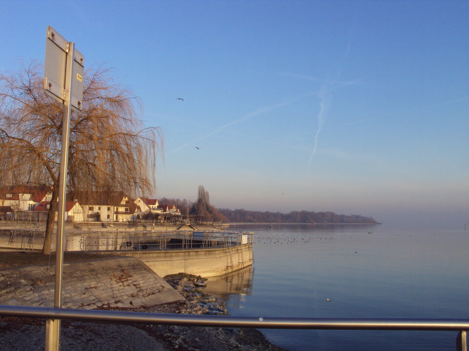 DSC03461.JPG - ciekawy62