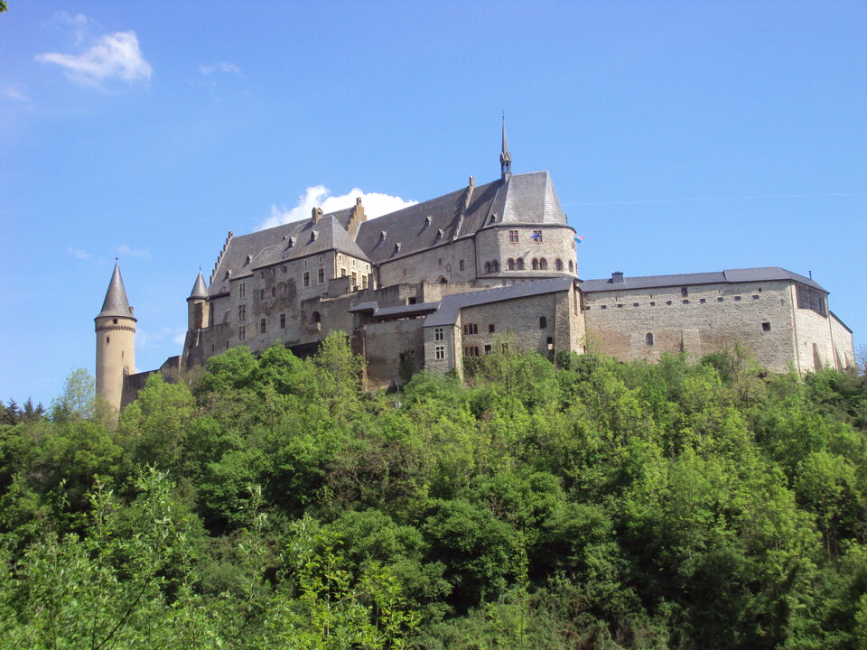 DSC03599.JPG - ciekawy62