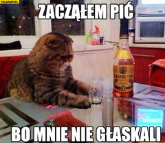 zaczalem-pic-bo-mnie-nie-glaskali-kot.jpg