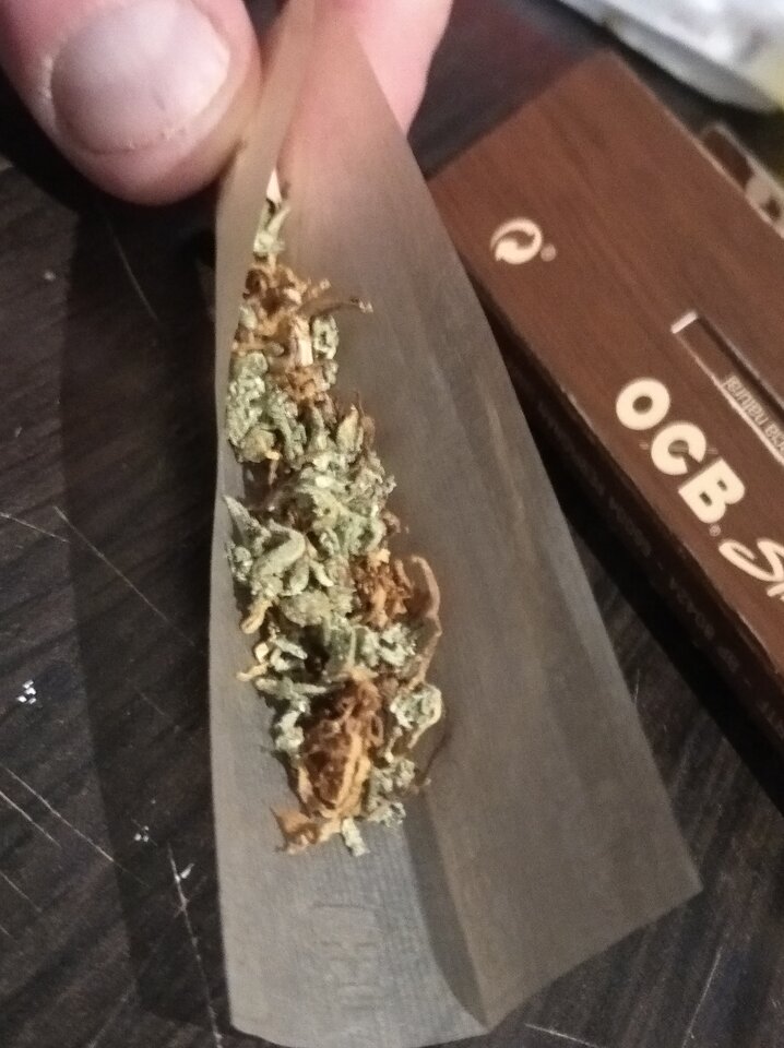 IMG_20220319_003941.jpg - Kamykboy