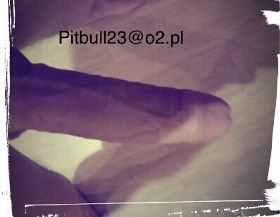 D135B18A-08F8-455F-AE1C-F0A9F178C9A9.jpeg - pitbull23