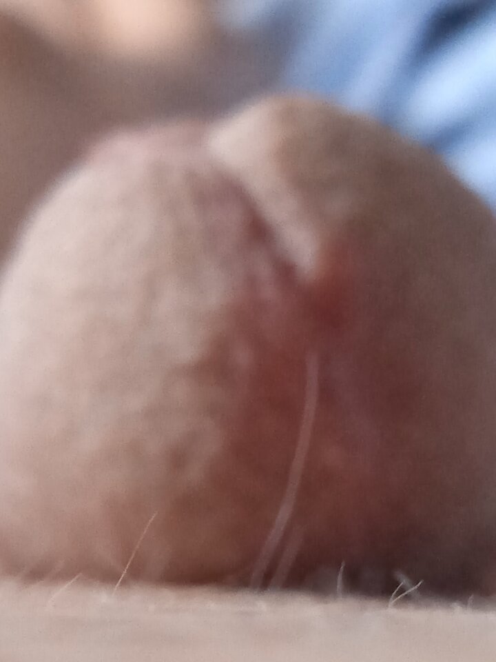 IMG_20220421_091603_1.jpg - 19Grzegorz55