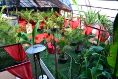 Playroom Dżungla w JC&R :)))