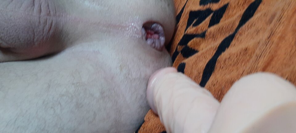 20220421_161200.jpg - rafal1410