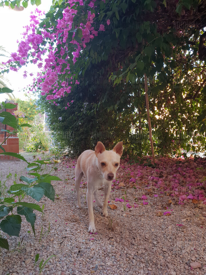 20181004_092621.jpg - Adminki