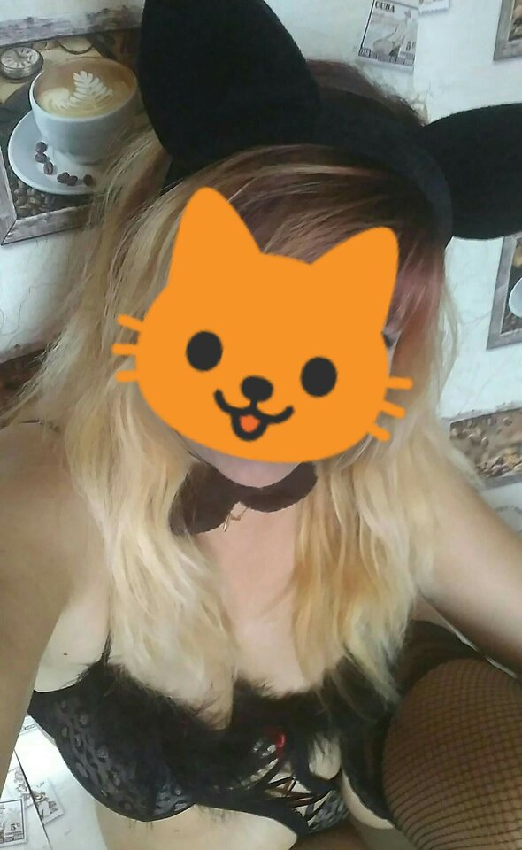 🐱 - Collettes