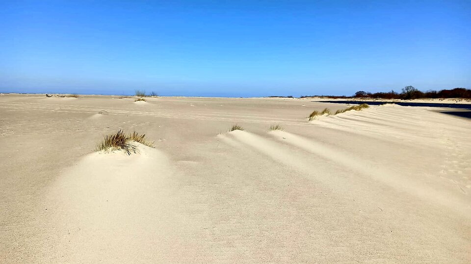 IMG-202204.jpg - wzwodnik1