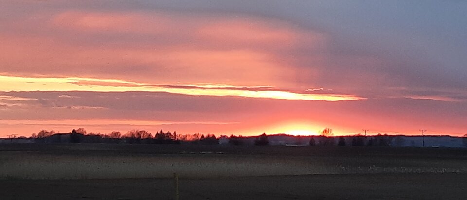 20220421_194635.jpg - dino8