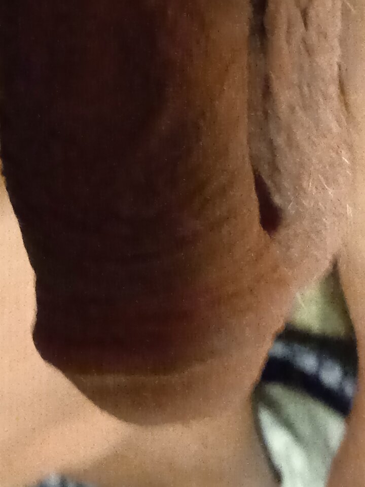 IMG_20220423_045658.jpg - 19Grzegorz55