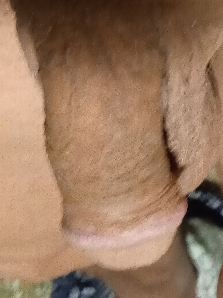 IMG_20220423_045707_1.jpg - 19Grzegorz55