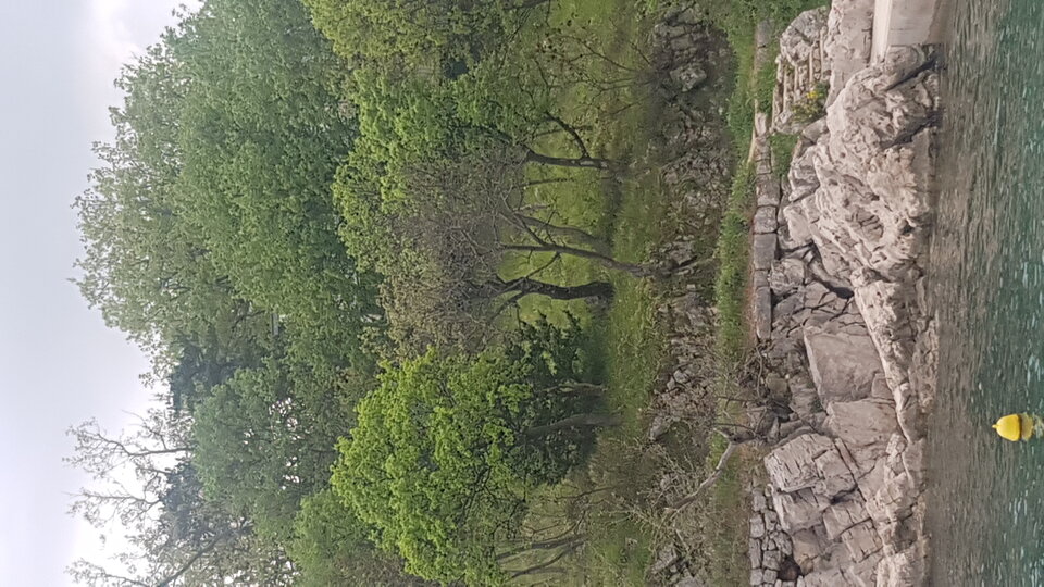 20220423_180126.jpg - Fajny32L