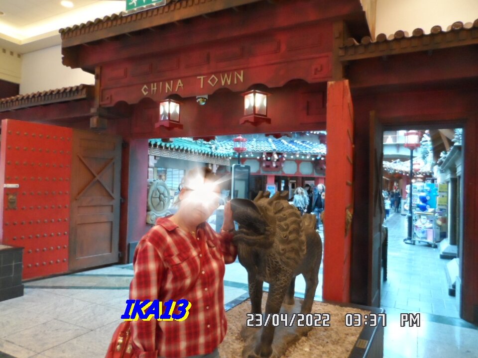 SAM_3939.JPG - ika13