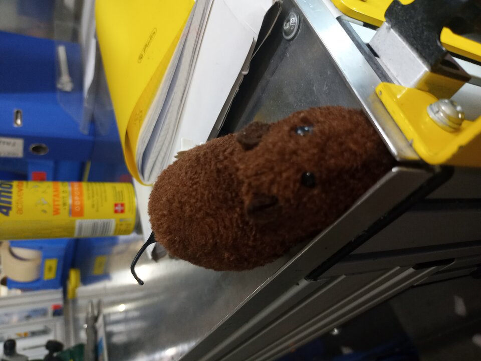 IMG_20220422_010635_01.jpg - Mysza2222