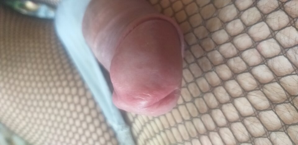 20220424_081655.jpg - kaktus9