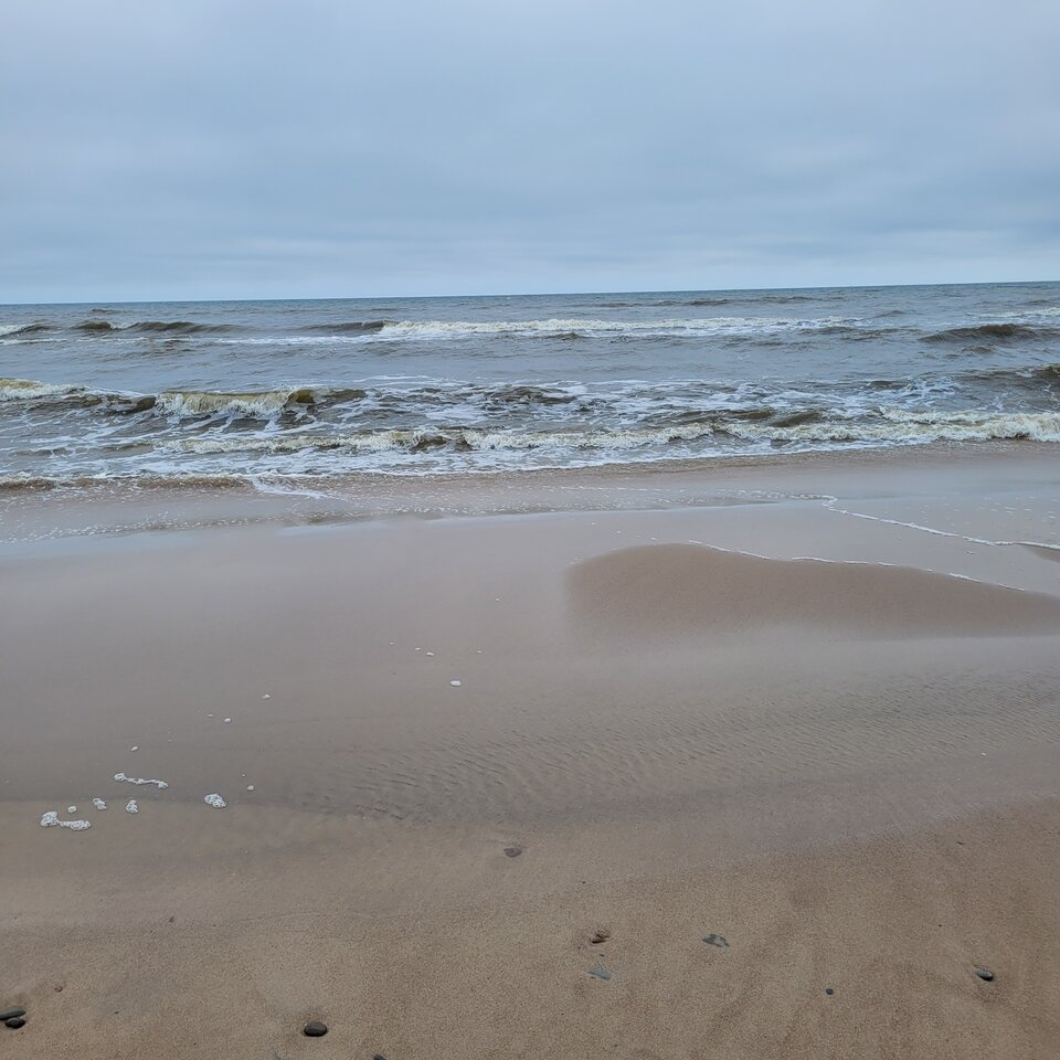 Już niedługo😆😆😆 - RadekNaturist72