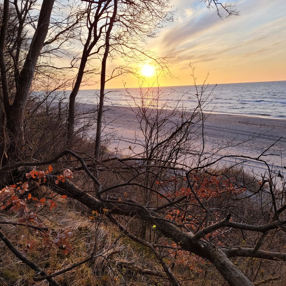 20220423_195253.jpg - RadekNaturist72