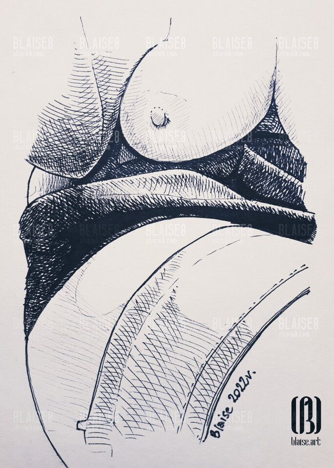 Art. No. 178 - blaise8