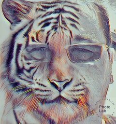 8ccfa699-a7f3-49c1-b29e-ddd8fcf556b4.jpg