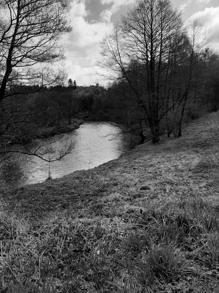 20220424_115624.jpg - dino8